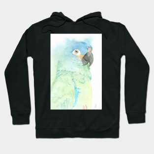 blue-winged macaw parrot portrait watercolor painting tropical pet Hoodie